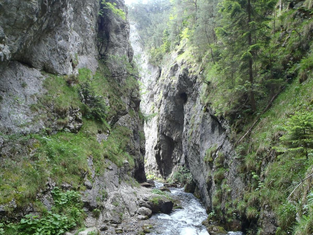 Amis apartmán 2 Liptovský Trnovec Exteriér fotografie